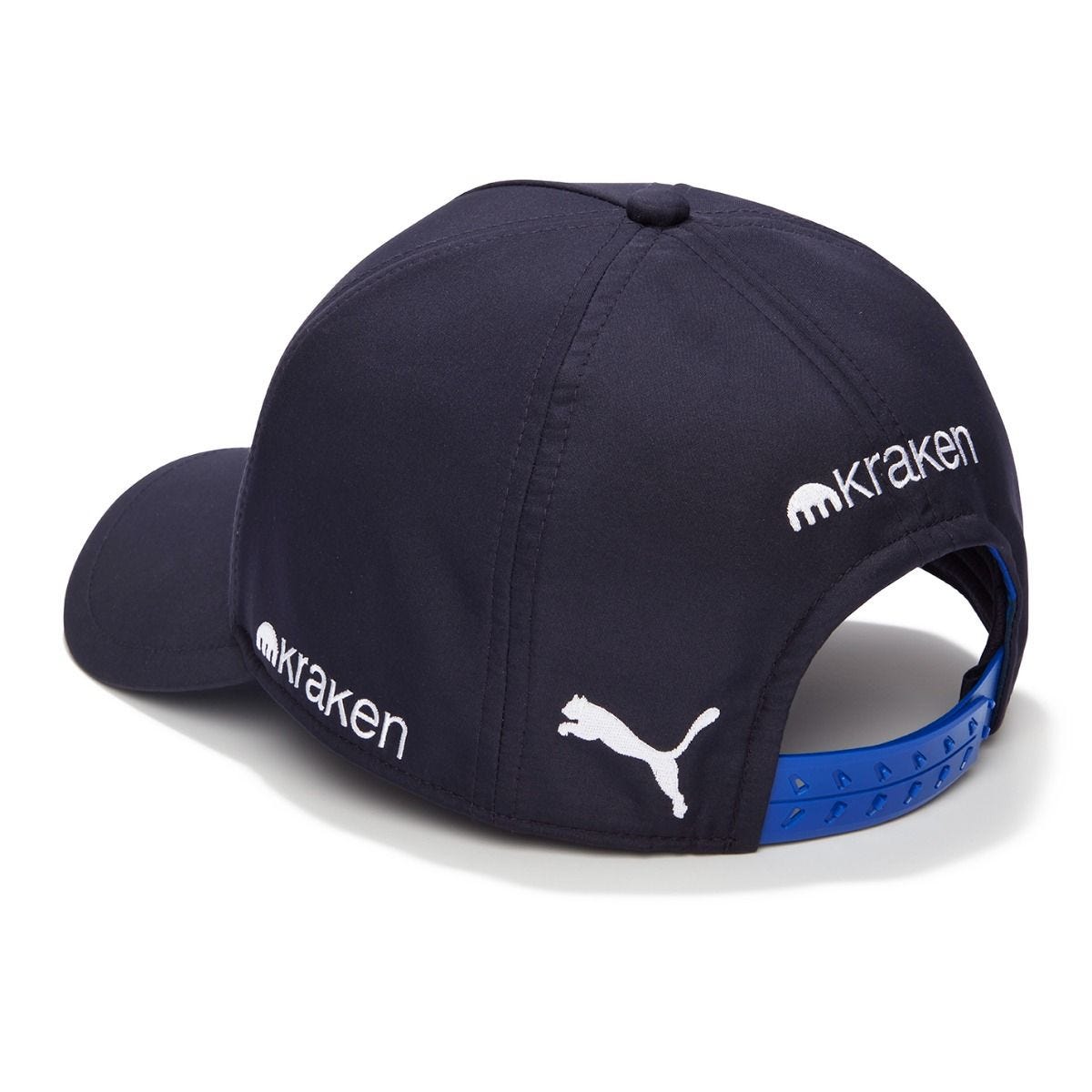 Williams Team Cap 2025