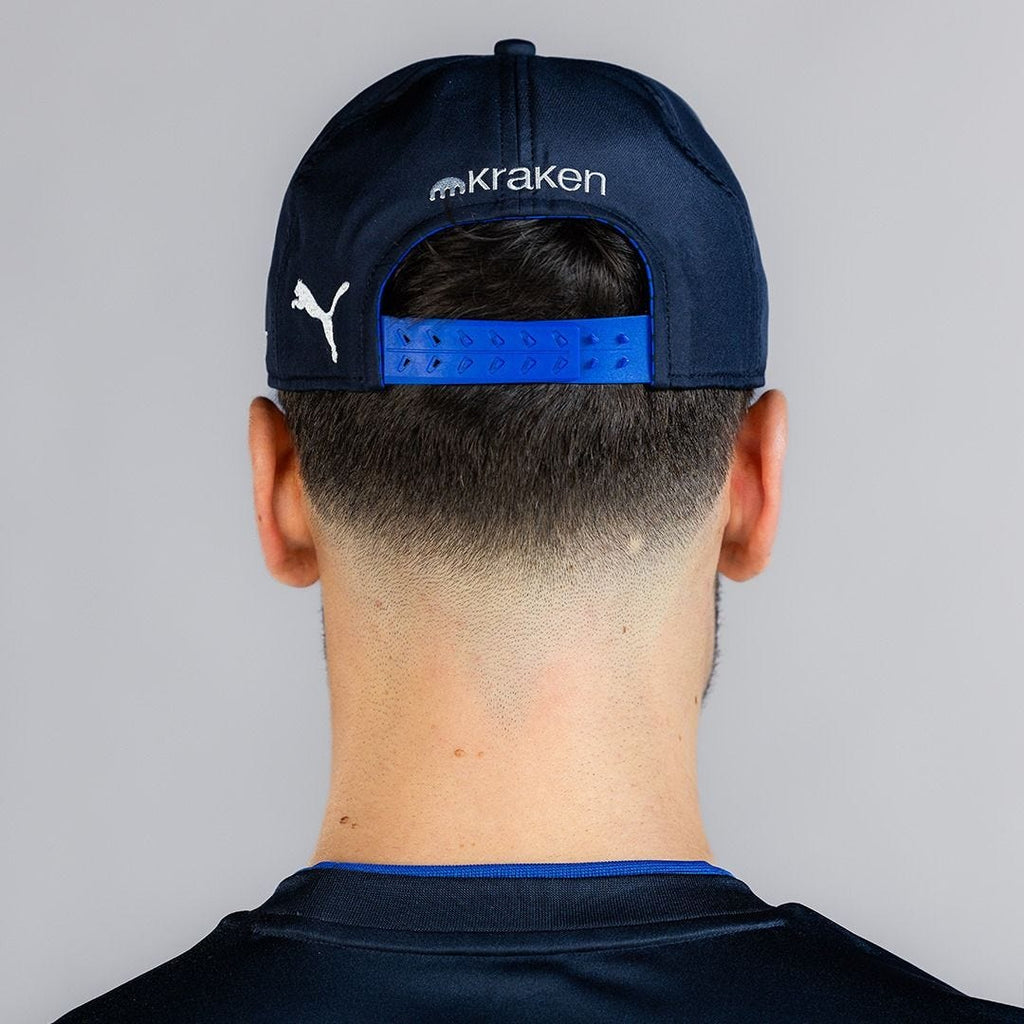 Williams Team Cap 2025